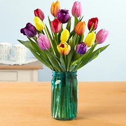 Bouquet of 15 Multi-Colored Tulips