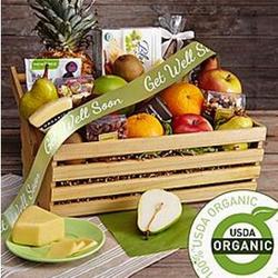 Organic Indulgence Fruits and Snacks Get Well Gift Basket