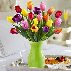 Bouquet of 20 Multi-Colored Tulips