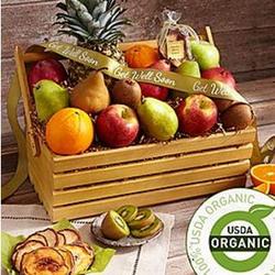 Garden Hod Organic Fruit Gift Basket with Get Well Ribbon