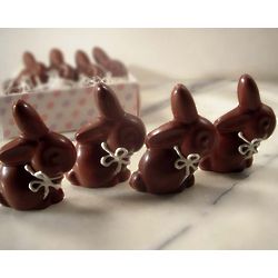 Chocolate Bunnies with a Bow Gift Box