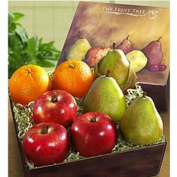 Grand Arbor Harvest Fruit Collection Gift Box