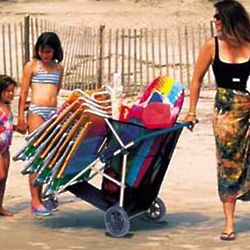 All Terrain Picnic, Beach, and Tailgating Carrier