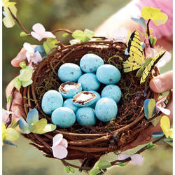 Spring Nest with Gourmet Candy Eggs