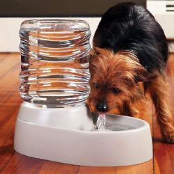 Electronic Pet Water Fountain and Dish