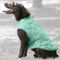 Loft Sea Glass Green Dog Coat