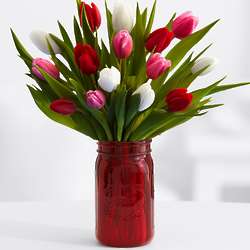 15 Sweetheart Tulips in Red Mason Jar Vase
