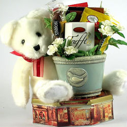 Beary Best Wishes Gift Basket