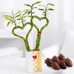 Double the Love Heart Bamboo with 6 Belgian Chocolate Berries