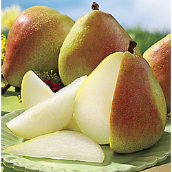 Summertime Royal Riviera&#174; Pears