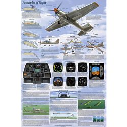 Basics of Flight Laminated Poster