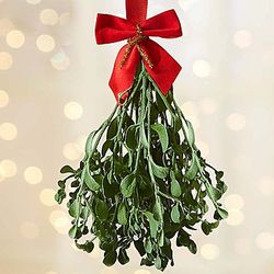 Preserved Very Merry Mistletoe Hanging Sprig