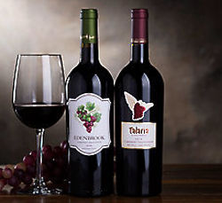 Edenbrook and Talaria Cabernet Wine Gift Set