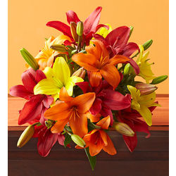 Red, Yellow and Orange Lily Bouquet