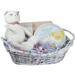Kitty Kat Baby Girl Gift Basket
