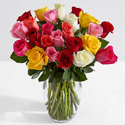 Two Dozen Long Stemmed Mother's Day Rainbow Roses