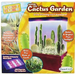 Super LED Cactus Garden Kit