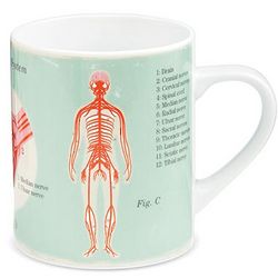 Nervous System Anatomical Mug