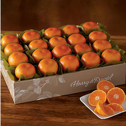 Mandarin Oranges Gift Box