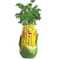 Funny Corn Herb Pot with Parsley