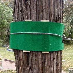 Slackliner's Tree Protection Kit