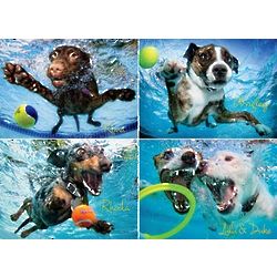 Underwater Dogs 2 Puzzle