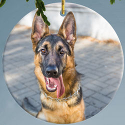 Personalized Dog Bone Photo Ornament