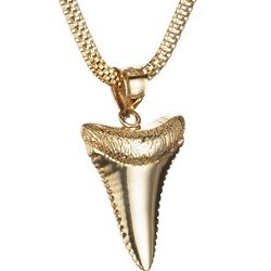 14K Gold Shark Tooth Pendant - FindGift.com