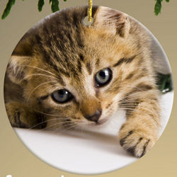 Personalized Fish Bone Cat Photo Ornament