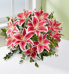 5 Stem Stunning Pink Oriental Lily Bouquet