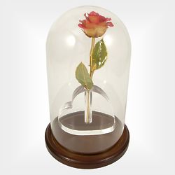 Enchanted 24k Gold Stem 8" Real Rose in Heart Vase Under Glass