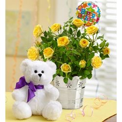 Happy Birthday Yellow Rose and Teddy Bear Gift Set