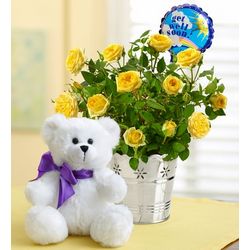 Sending You Get Well Smiles Rose Plant and Bear