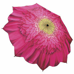 Gerbera Daisy Collapsible Umbrella