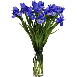 When Iris Eyes are Smiling 20-Stem Bouquet with Vase