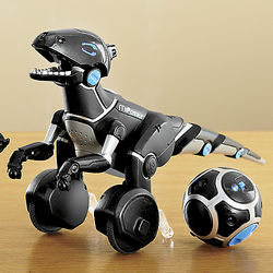 Remote Conrolled Miposaur Toy