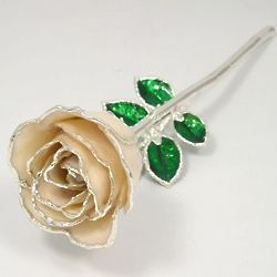 8" Sterling Silver Trimmed Ivory White Rose