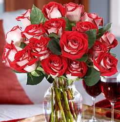 18 Red Velvet Roses Bouquet