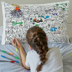 Color Your Own Dinosaur Pillowcase