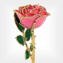 24k Gold Trimmed 8" Pink Preserved Rose