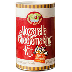 DIY Mozzarella Cheesemaking Kit