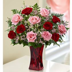 Shades of Pink and Red 12 Stem Rose Bouquet