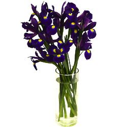 When Iris Eyes are Smiling 10-Stem Bouquet with Vase