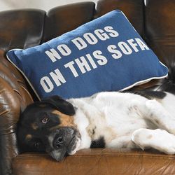 No Dogs on This Sofa Pillow