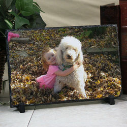 Picture Perfect Personalized Pet Photo Stone