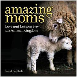 Amazing Moms Hardcover Book