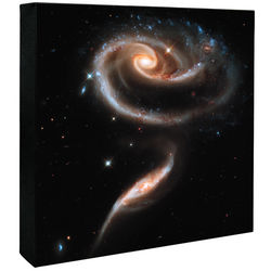 A Rose Made of Galaxies Hubble Image Canvas Art Print