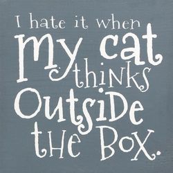 My Cat Thinks Outside the Box Wood Plaque