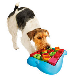 Dog Miracle Puzzle Toy
