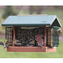 Large Going Green Bird Feeder with Suet Cages